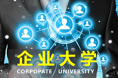 企業(yè)大學搭建項目